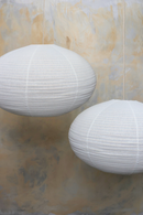 Signature Shade Bundles - Dixon Shade