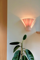 Wall-mounted lamp with a pinkish-blush shade casting light on a plant against a white wall.