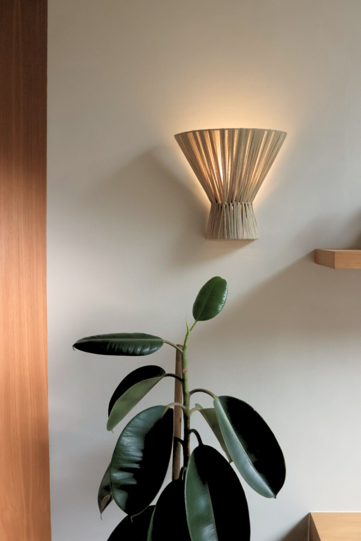 Modern wall sconce with a plant in the foreground on a neutral background