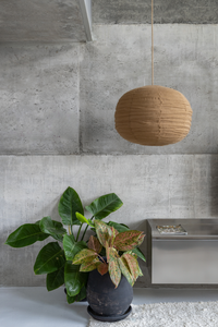 Labu Shade in Soft Husk