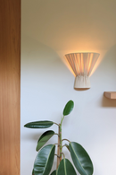 Wall-mounted light fixture on a white wall with a plant in the foreground.